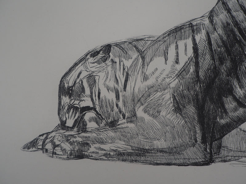 Paul JOUVE : Tigre sur sa proie, c, Gravure originale (photo de détail 4) - Crédit photo : Galerie Art.Paris