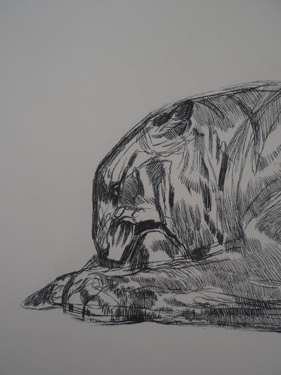 Paul JOUVE : Tigre sur sa proie, c, Gravure originale (photo de détail 7) - Crédit photo : Galerie Art.Paris