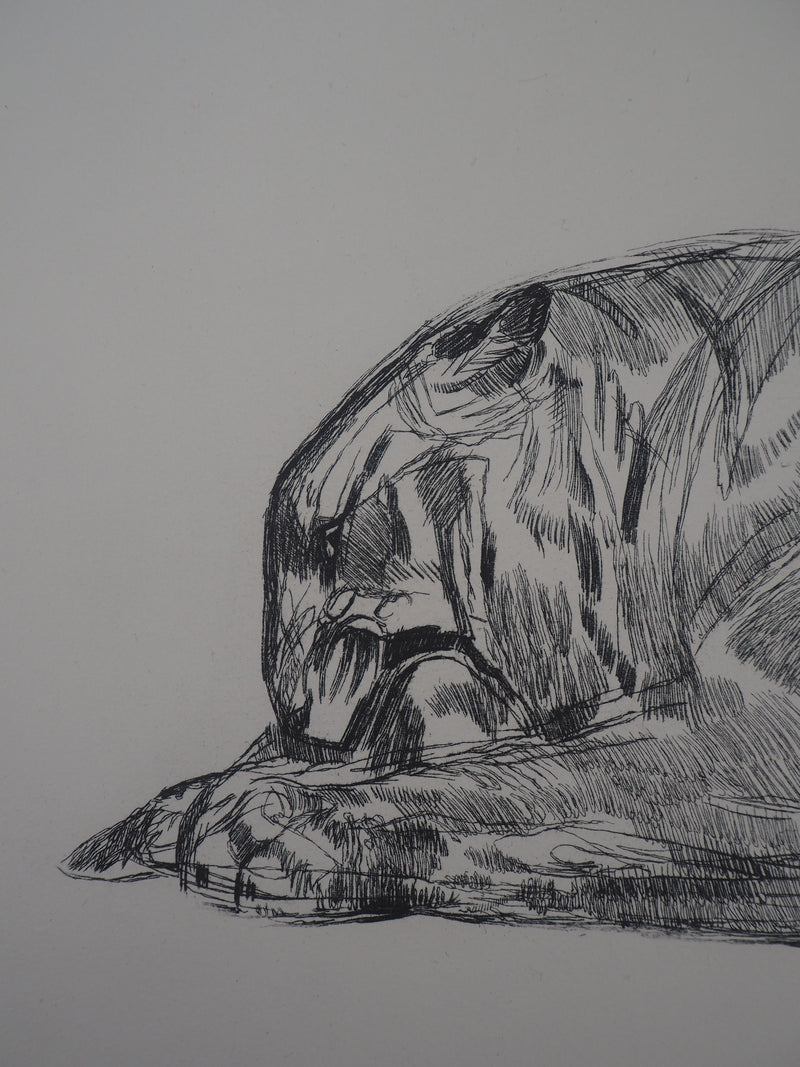 Paul JOUVE : Tigre sur sa proie, c, Gravure originale (photo de détail 7) - Crédit photo : Galerie Art.Paris