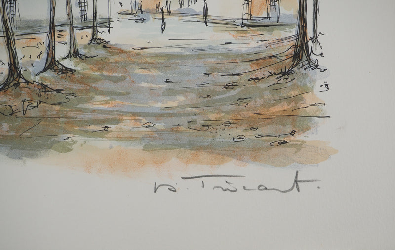 Daniel TRICART : Sentier caché, Lithographie originale (photo de détail 2) - Crédit photo : Galerie Art.Paris