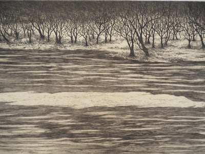 Hélène NUE : La berge, Gravure originale (photo de détail 3) - Crédit photo : Galerie Art.Paris