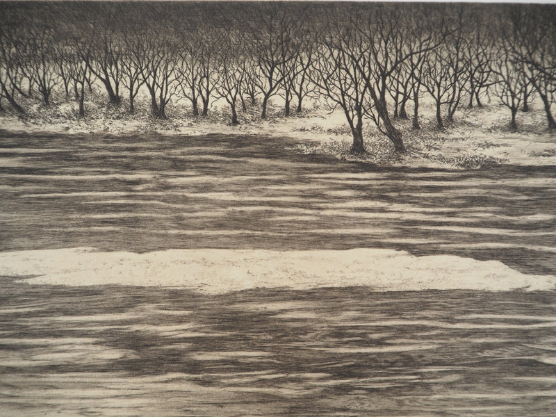 Hélène NUE : La berge, Gravure originale (photo de détail 3) - Crédit photo : Galerie Art.Paris