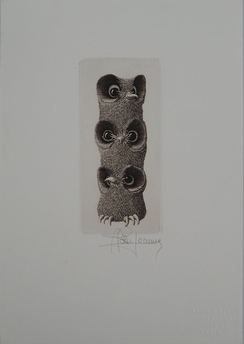 Alain JEANNE : Les trois chouettes, Gravure originale (vue générale) - Crédit photo : Galerie Art.Paris