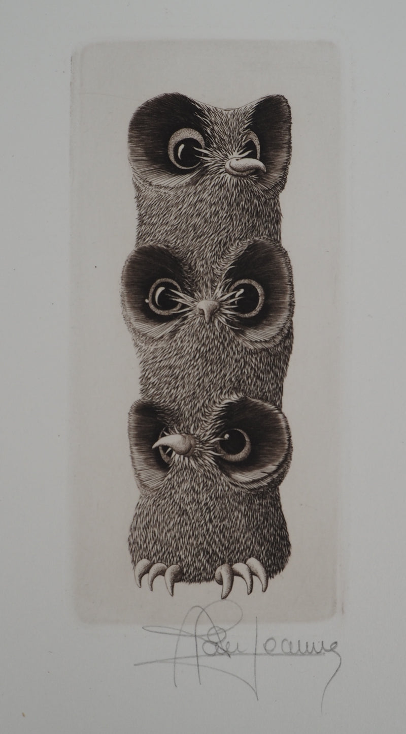 Alain JEANNE : Les trois chouettes, Gravure originale (photo de détail 2) - Crédit photo : Galerie Art.Paris