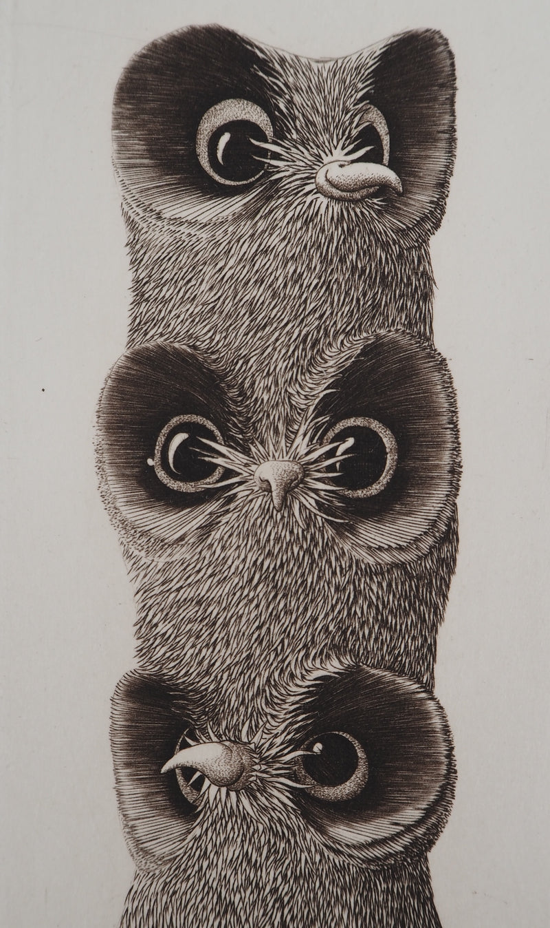 Alain JEANNE : Les trois chouettes, Gravure originale (photo de détail 3) - Crédit photo : Galerie Art.Paris