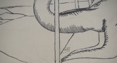 Jean-Claude SILBERMANN : Le monstre des mer, Dessin original (photo de détail 2) - Crédit photo : Galerie Art.Paris