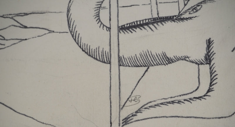 Jean-Claude SILBERMANN : Le monstre des mer, Dessin original (photo de détail 2) - Crédit photo : Galerie Art.Paris