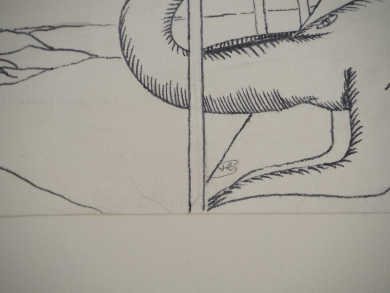 Jean-Claude SILBERMANN : Le monstre des mer, Dessin original (photo de détail 3) - Crédit photo : Galerie Art.Paris