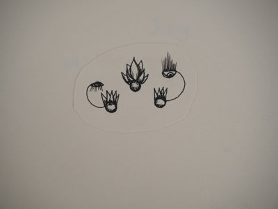 Jean-Claude SILBERMANN : Des fleurs et un masqu, Dessin original (photo de détail 4) - Crédit photo : Galerie Art.Paris