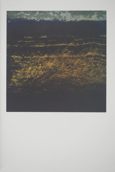 Frédéric BENRATH : Le petit mur jaune à contre-jour, Héliogravure originale (vue générale) - Crédit photo : Galerie Art.Paris