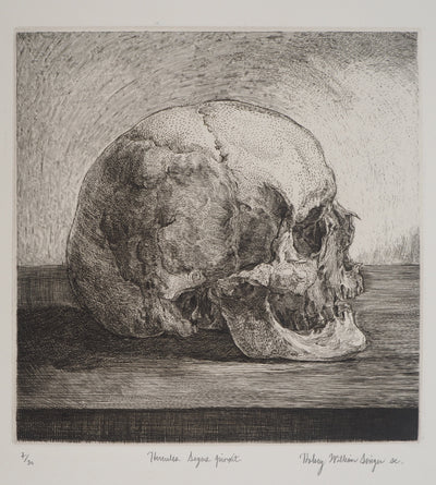 Halsey William SINGER : Crâne, Gravure originale (vue générale) - Crédit photo : Galerie Art.Paris