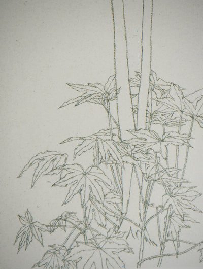 Sam SZAFRAN : Feuillages : Aralia IV, Héliogravure originale (photo de détail 3) - Crédit photo : Galerie Art.Paris