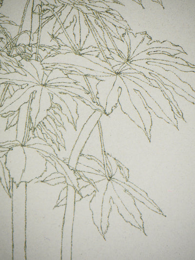 Sam SZAFRAN : Feuillages : Aralia IV, Héliogravure originale (photo de détail 5) - Crédit photo : Galerie Art.Paris