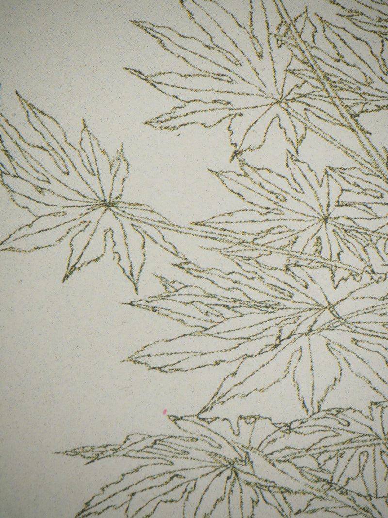 Sam SZAFRAN : Feuillages : Aralia IV, Héliogravure originale (photo de détail 6) - Crédit photo : Galerie Art.Paris