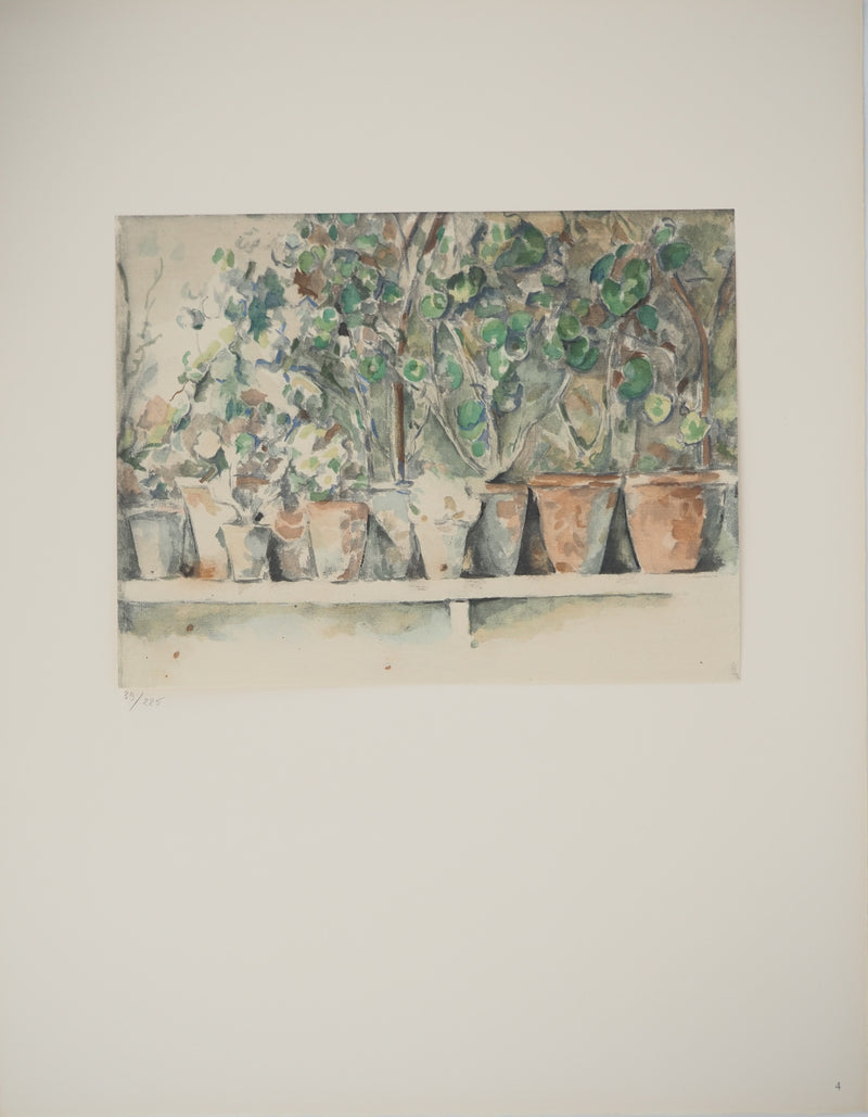 Paul CEZANNE : Les pots de géraniums, Lithographie originale (photo de détail 2) - Crédit photo : Galerie Art.Paris