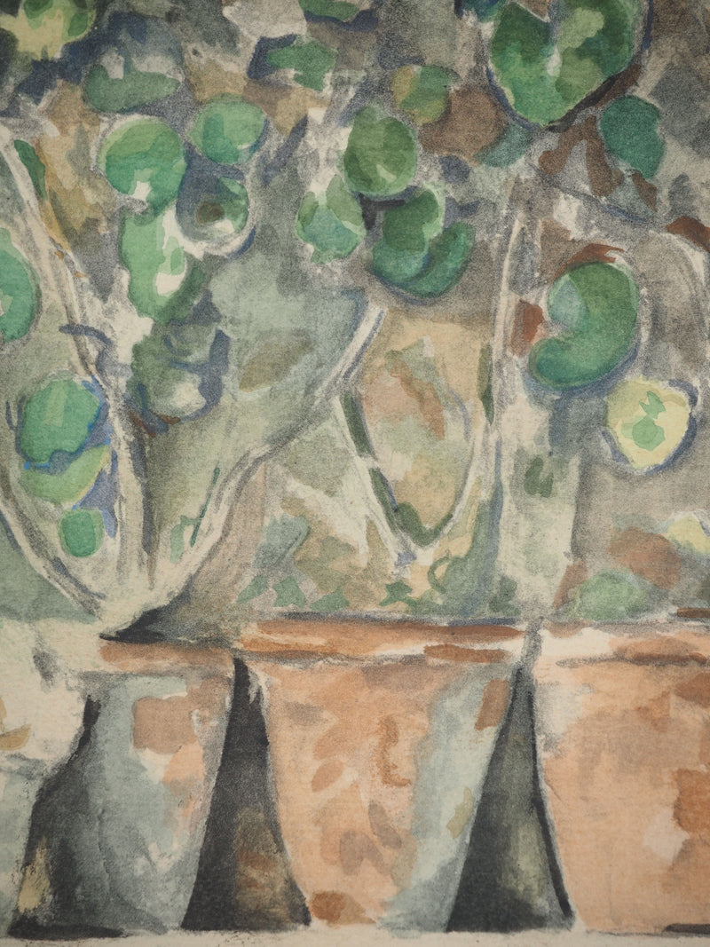Paul CEZANNE : Les pots de géraniums, Lithographie originale (photo de détail 4) - Crédit photo : Galerie Art.Paris