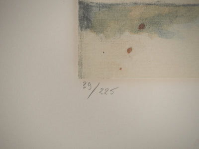 Paul CEZANNE : Les pots de géraniums, Lithographie originale (photo de détail 6) - Crédit photo : Galerie Art.Paris