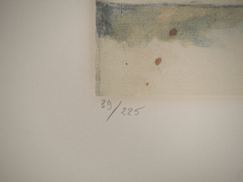 Paul CEZANNE : Les pots de géraniums, Lithographie originale (photo de détail 6) - Crédit photo : Galerie Art.Paris