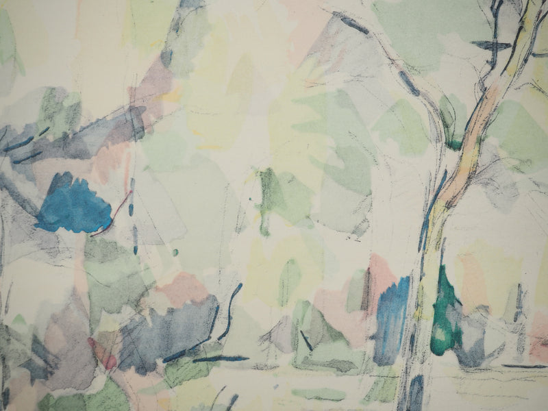 Paul CEZANNE : Sous-bois, Lithographie originale (photo de détail 5) - Crédit photo : Galerie Art.Paris