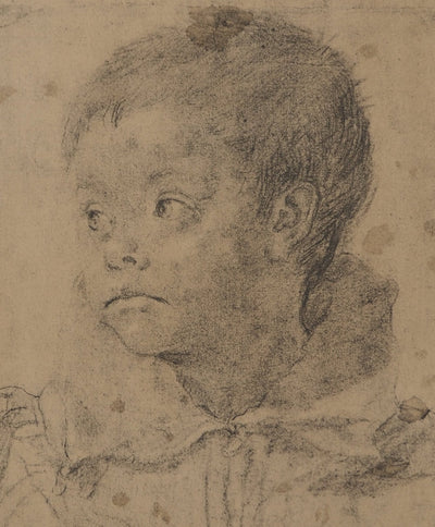 Annibale CARRACCI : Jeune garçon, Lithographie originale (photo de détail 2) - Crédit photo : Galerie Art.Paris