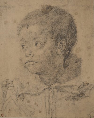 Annibale CARRACCI : Jeune garçon, Lithographie originale (vue générale) - Crédit photo : Galerie Art.Paris
