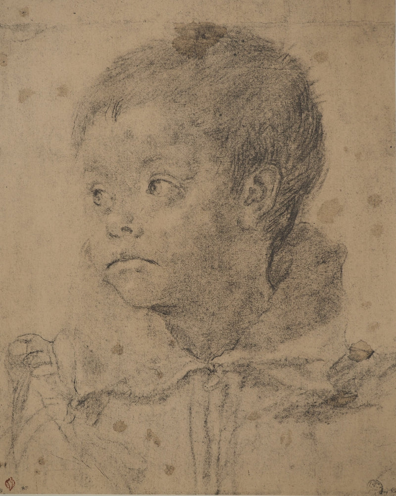 Annibale CARRACCI : Jeune garçon, Lithographie originale (vue générale) - Crédit photo : Galerie Art.Paris