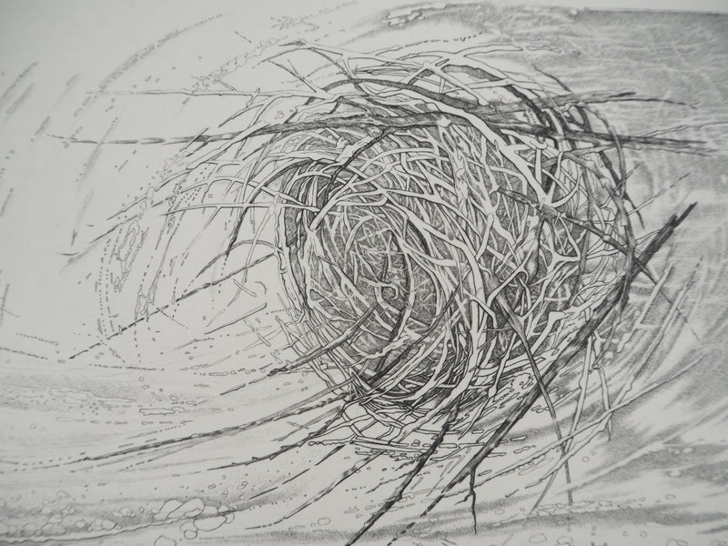 Hélène NUE : Vent, Gravure originale (photo de détail 4) - Crédit photo : Galerie Art.Paris