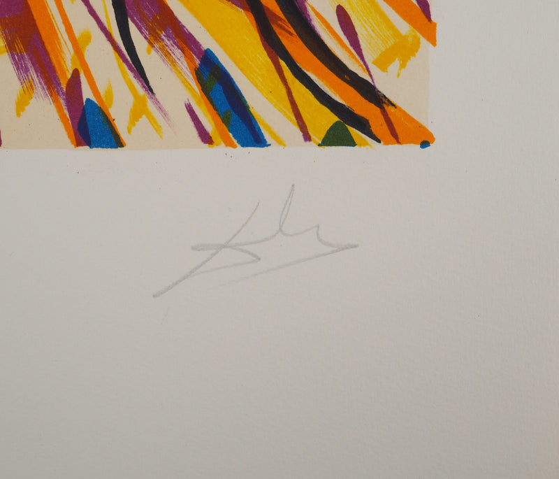 Salvador DALI : Les Vitraux : Le soleil, Lithographie originale (photo de détail 2) - Crédit photo : Galerie Art.Paris