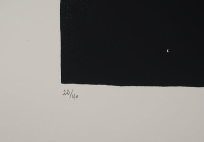 Jean-Pierre VIELFAURE : Descente céleste, Sérigraphie originale (photo de détail 6) - Crédit photo : Galerie Art.Paris