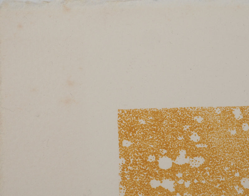 Jean-Pierre VIELFAURE : Au-delà du reflet, Lithographie originale (photo de détail 7) - Crédit photo : Galerie Art.Paris
