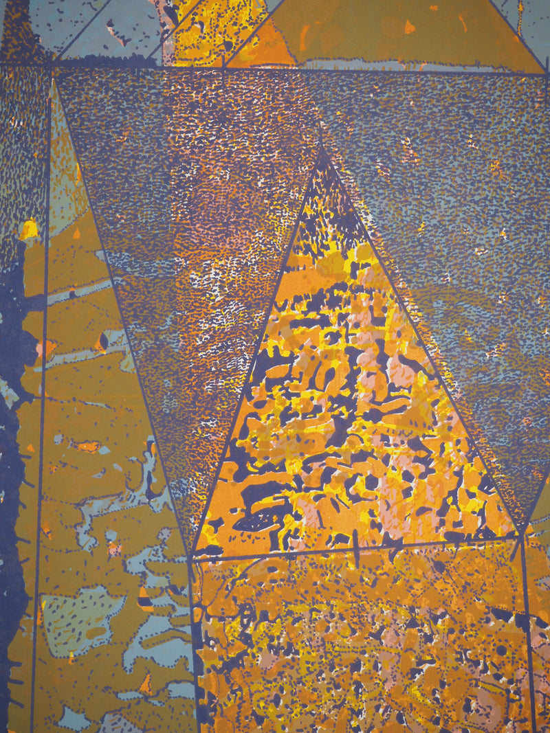 Jean-Pierre VIELFAURE : Royaume souterrain, Lithographie originale (photo de détail 5) - Crédit photo : Galerie Art.Paris