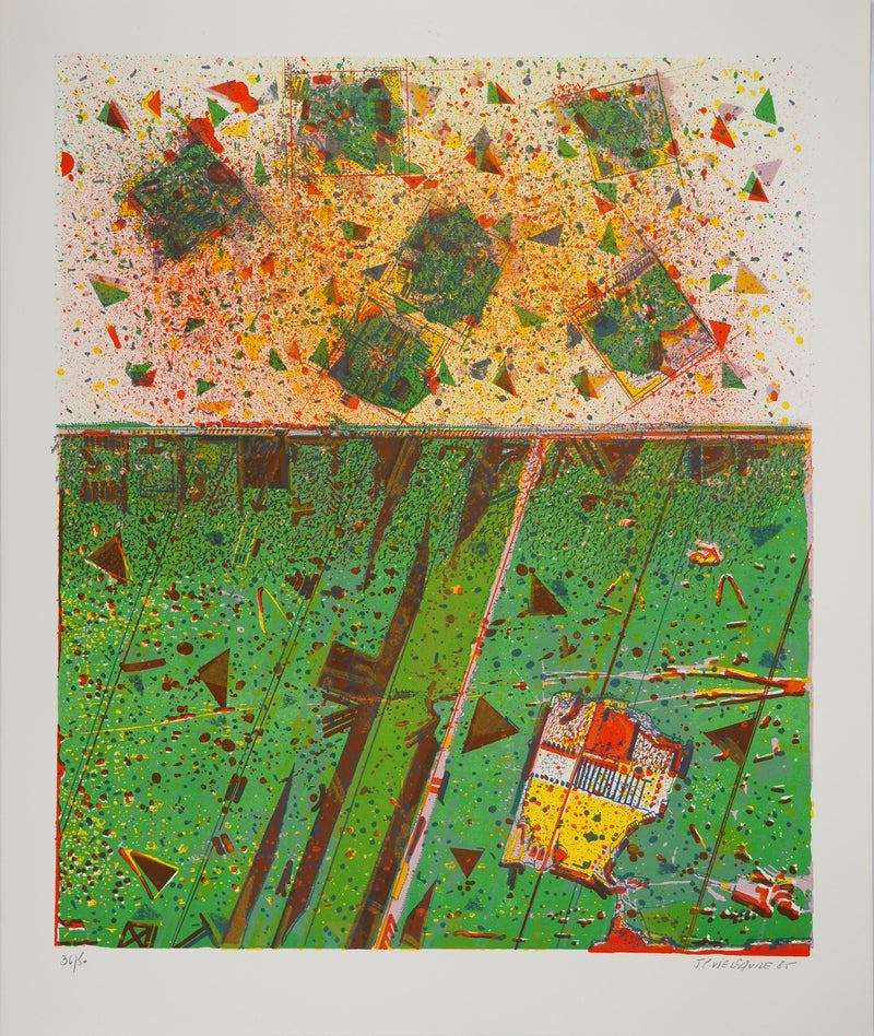 Jean-Pierre VIELFAURE : Explosion chromatique, Lithographie originale (vue générale) - Crédit photo : Galerie Art.Paris