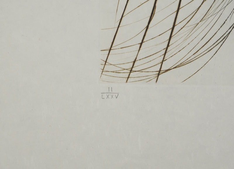 Salvador DALI : Le roi Marc, Gravure originale (photo de détail 6) - Crédit photo : Galerie Art.Paris