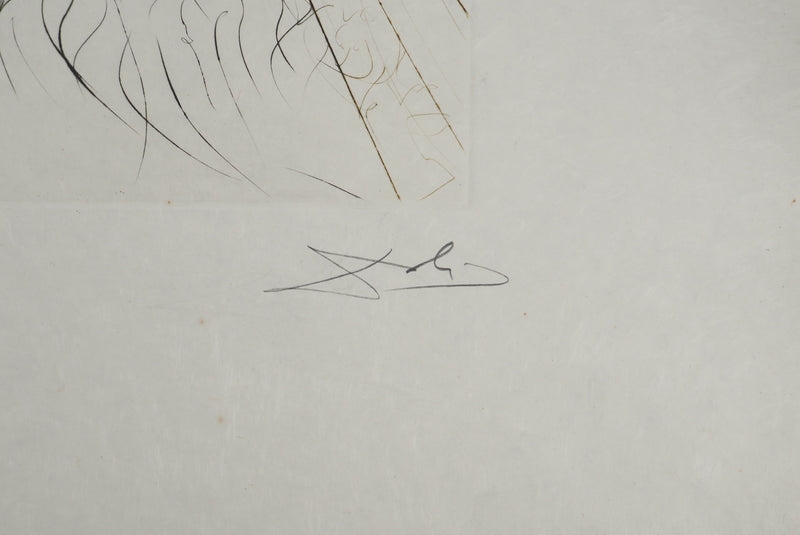 Salvador DALI : Le roi Marc, Gravure originale (photo de détail 2) - Crédit photo : Galerie Art.Paris