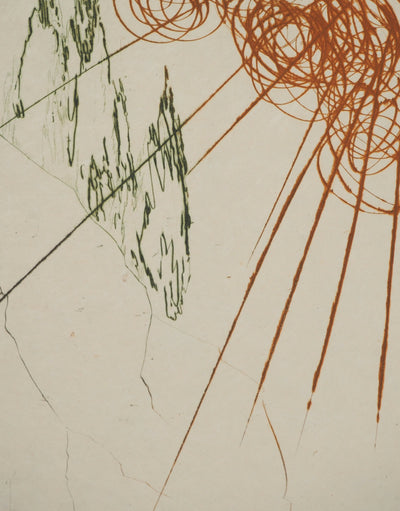 Salvador DALI : Le combat avec le Morhoult, Gravure originale (photo de détail 4) - Crédit photo : Galerie Art.Paris