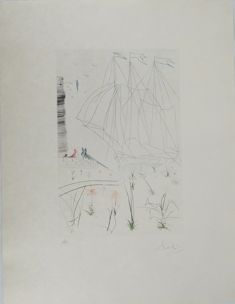 Salvador DALI : L&