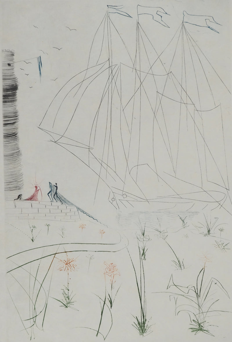 Salvador DALI : L&