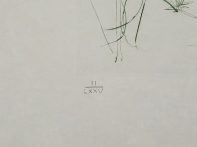 Salvador DALI : L'arrivée d'Iseult, Gravure originale (photo de détail 7) - Crédit photo : Galerie Art.Paris