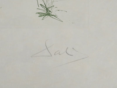 Salvador DALI : L'arrivée d'Iseult, Gravure originale (photo de détail 2) - Crédit photo : Galerie Art.Paris