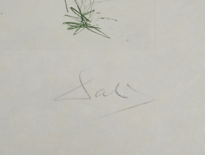 Salvador DALI : L&