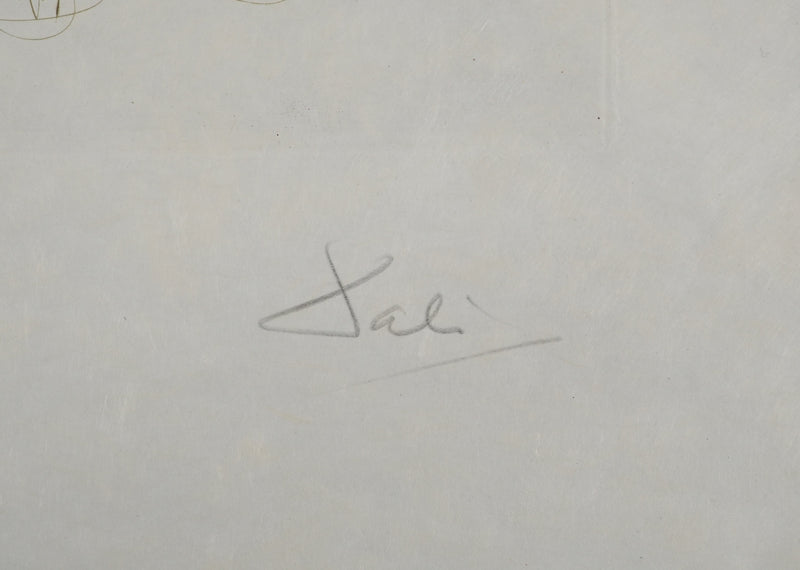 Salvador DALI : Frère Ogrin, l&