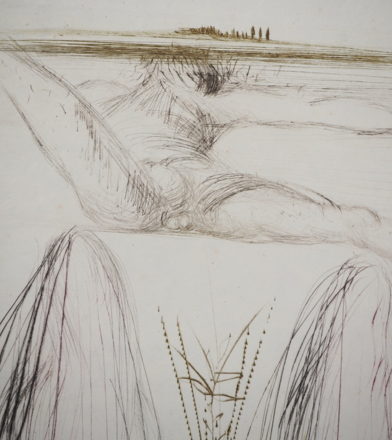 Salvador DALI : Le géant Béliagog, Gravure originale (photo de détail 5) - Crédit photo : Galerie Art.Paris