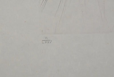 Salvador DALI : Le géant Béliagog, Gravure originale (photo de détail 6) - Crédit photo : Galerie Art.Paris
