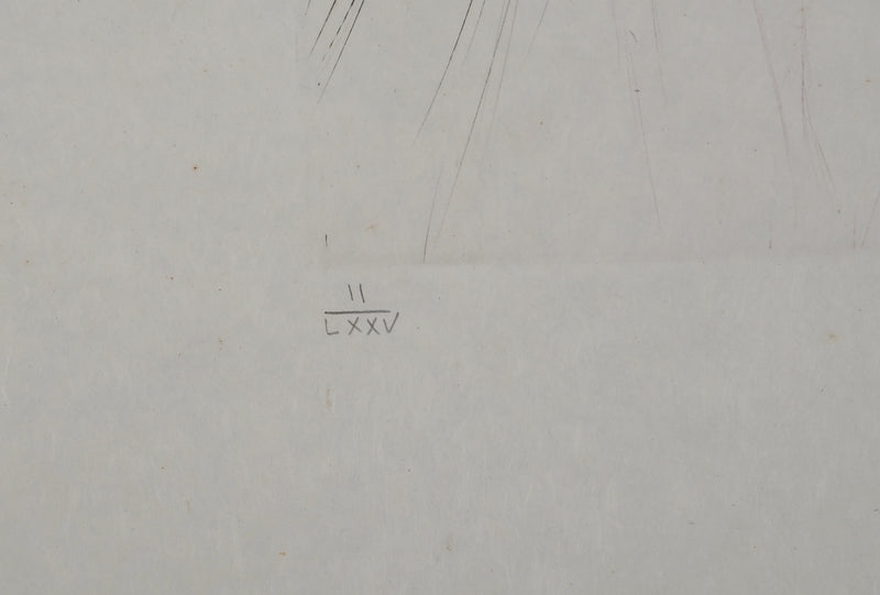 Salvador DALI : Le géant Béliagog, Gravure originale (photo de détail 6) - Crédit photo : Galerie Art.Paris