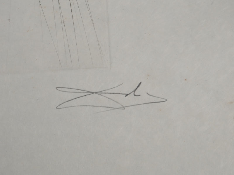 Salvador DALI : Le géant Béliagog, Gravure originale (photo de détail 2) - Crédit photo : Galerie Art.Paris