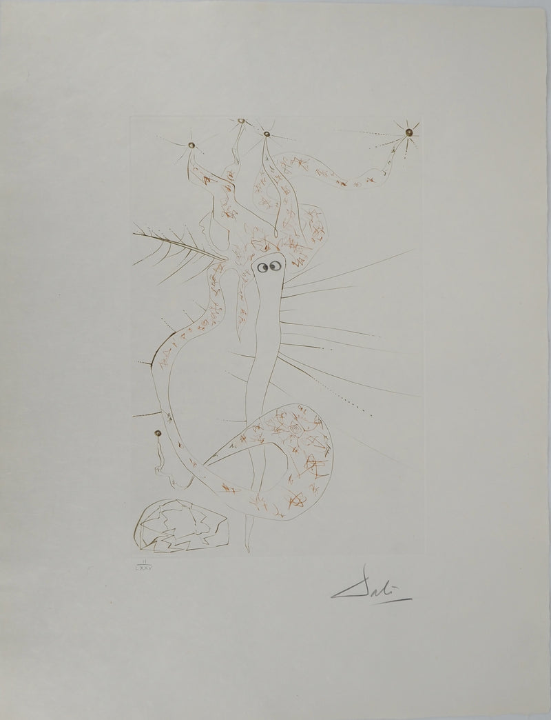 Salvador DALI : Tristan le fou, Gravure originale (vue générale) - Crédit photo : Galerie Art.Paris