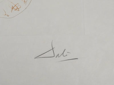 Salvador DALI : Tristan le fou, Gravure originale (photo de détail 6) - Crédit photo : Galerie Art.Paris