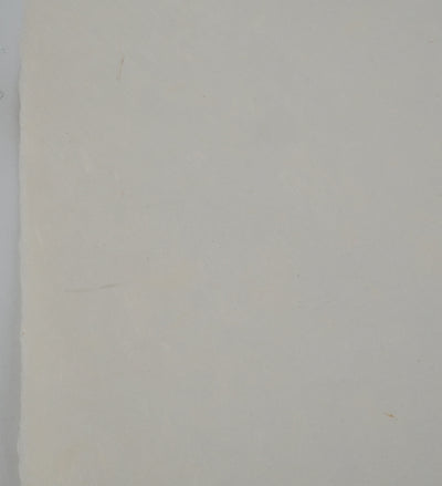 Salvador DALI : Tristan le fou, Gravure originale (photo de détail 7) - Crédit photo : Galerie Art.Paris