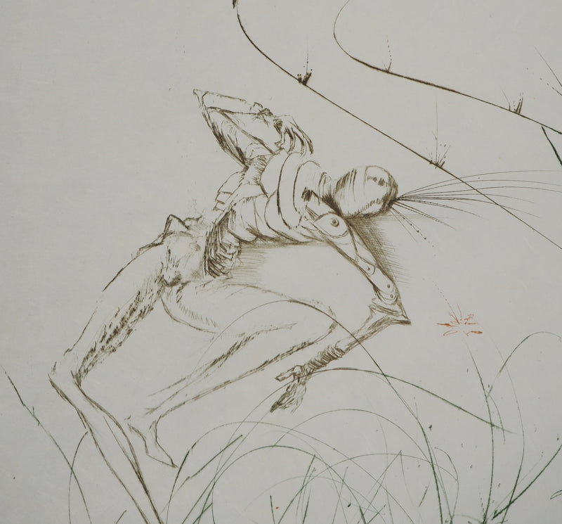 Salvador DALI : Dernier combat de Tristan, Gravure originale (photo de détail 3) - Crédit photo : Galerie Art.Paris