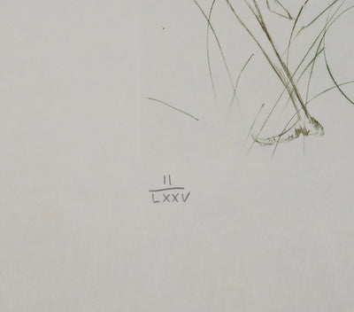 Salvador DALI : Dernier combat de Tristan, Gravure originale (photo de détail 5) - Crédit photo : Galerie Art.Paris